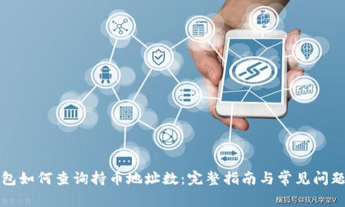 TP钱包如何查询持币地址数：完整指南与常见问题解答